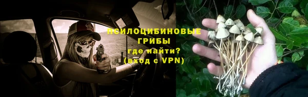 Альфа ПВП Корсаков