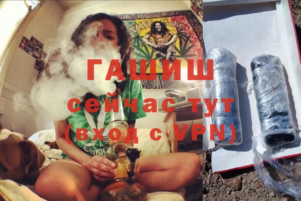 ГАЛЛЮЦИНОГЕННЫЕ ГРИБЫ Козловка