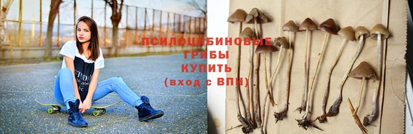 Альфа ПВП Корсаков