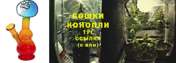 Альфа ПВП Корсаков